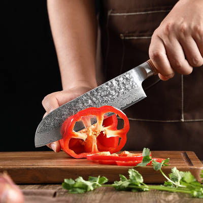 TRIBAL PAKKA WOOD DAMASCUS KNIFE SET