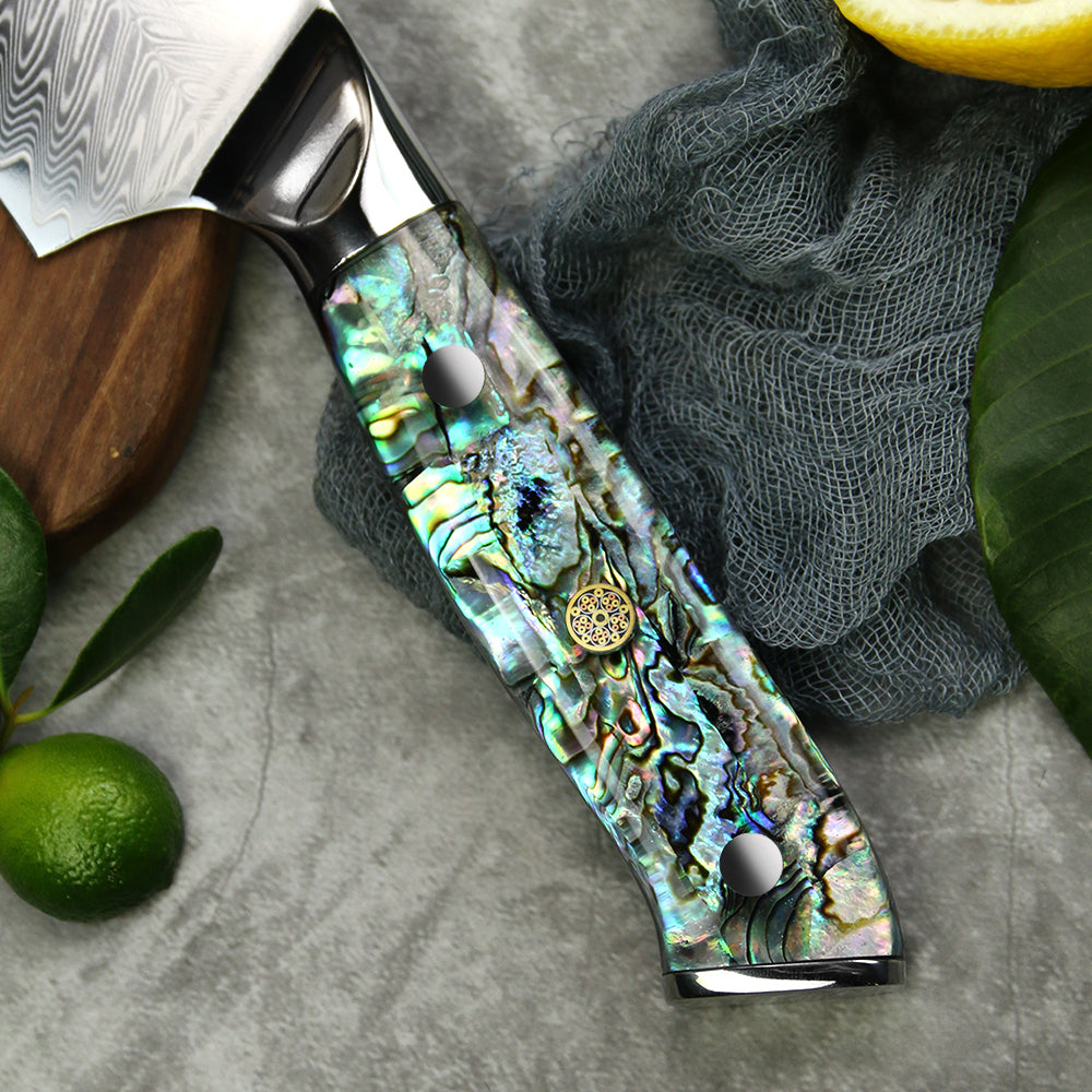 Tribal Abalone Handle Handle Damascus VG 10 Steel 5 PCS Set